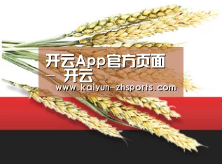 开云App官方页面 - 开云