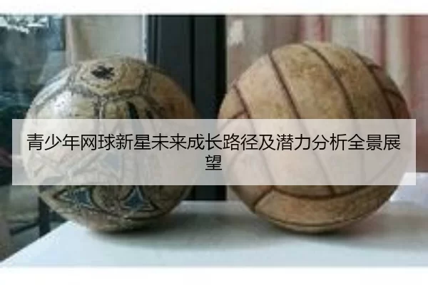 青少年网球新星未来成长路径及潜力分析全景展望